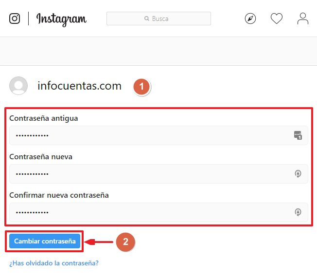 Cambiar la contraseña de Instagram