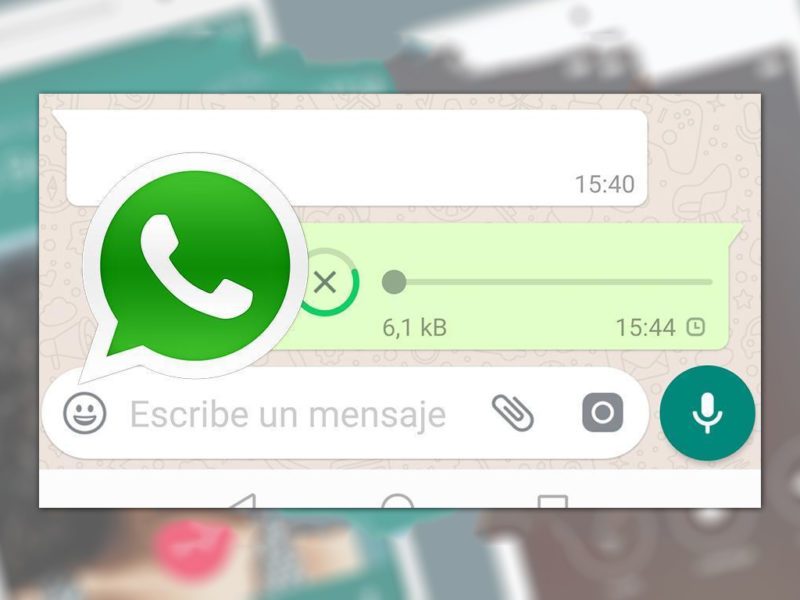 Porque No Puedo Reenviar Mensajes En Whatsapp