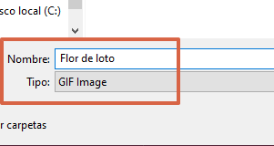 Cómo cambiar foto de perfil a GIF en Discord paso 7