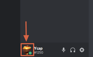 How to manually set Discord status step 1