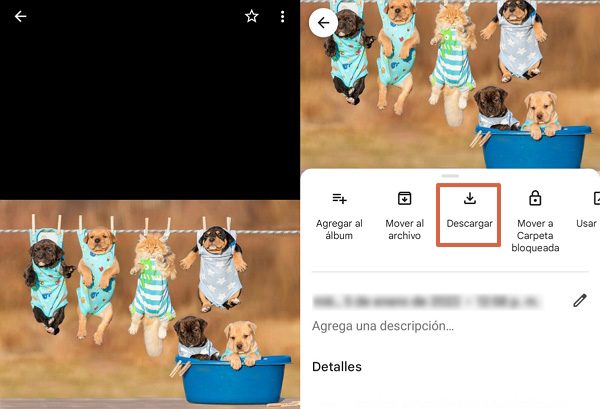 Cómo descargar fotos y vídeos de Google Fotos al celular