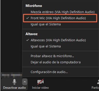 How to Share Microphone Audio on a Zoom Video Call, Step 2