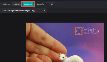 Cómo quitar la marca de agua de una imagen con Pixlr paso 3