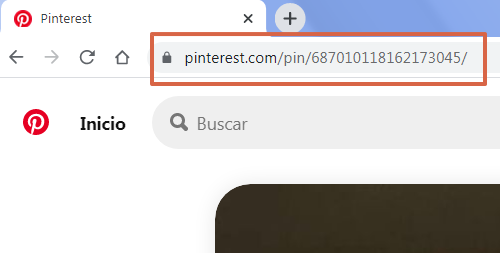 Cómo descargar vídeos de Pinterest en PC paso 2