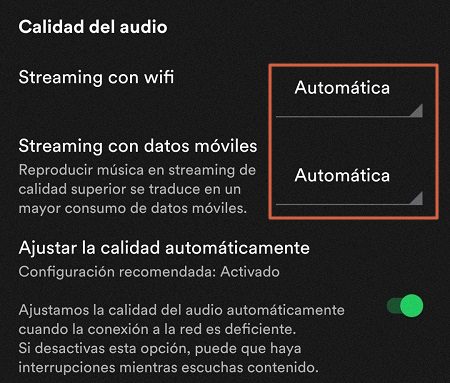 Configuración adicional de Spotify paso 3