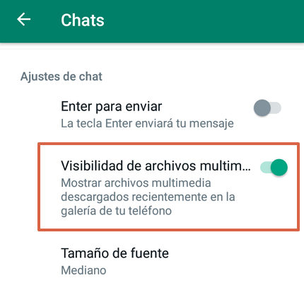 Cómo activar la visibilidad de archivos multimedia en WhatsApp para ver las fotos en la galería paso 4