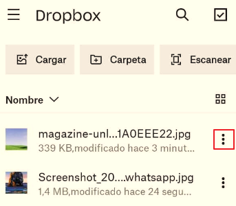 Cómo enviar archivos pesados por WhatsApp con DropBox paso 3