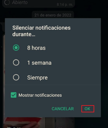 Silenciar las notificaciones de WhatsApp en Android desde la conversación paso 3