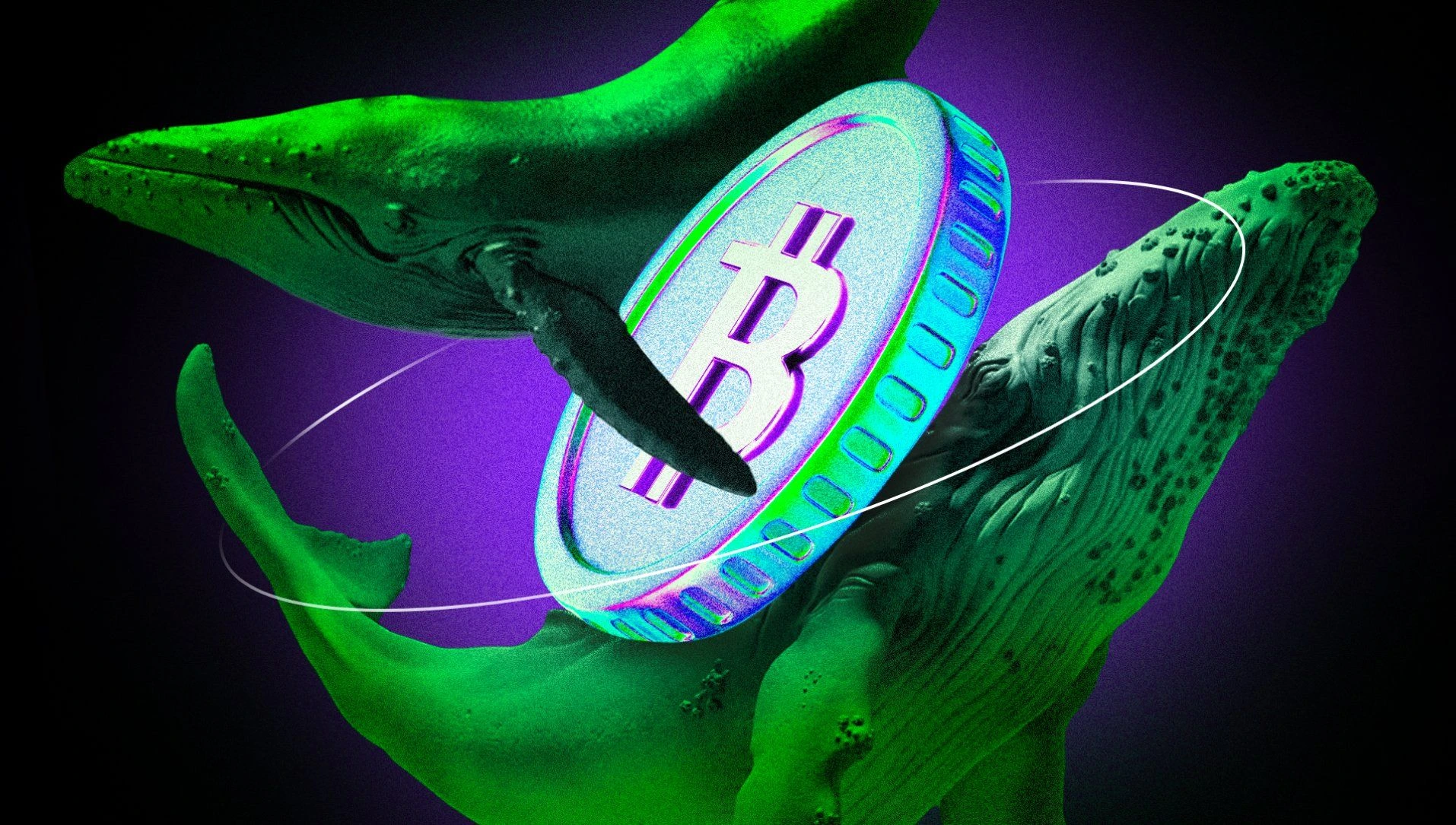 Fiebre cripto: estas 6 meme coins son el nuevo objetivo de las ballenas en agosto 2025 4 6 tokens que las ballenas acumulan con fuerza en agosto