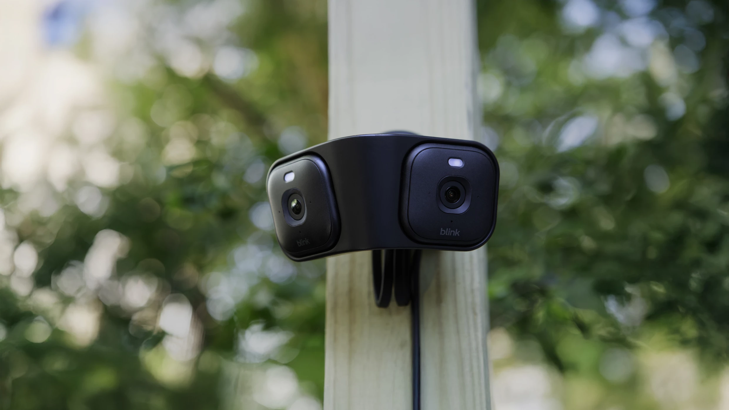 Ring y Blink seguridad con reconocimiento facial